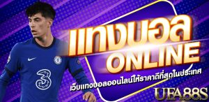 แทงบอลสูง